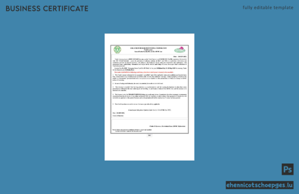 Handelslizenz Hyderabad, Indien – Word- und PDF-Beispielansicht
